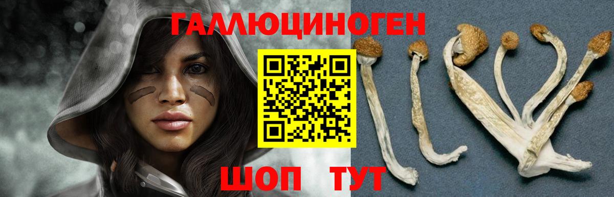 Тверь  Псилоцибиновые грибы Cubensis  наркошоп  Вход с VPN 